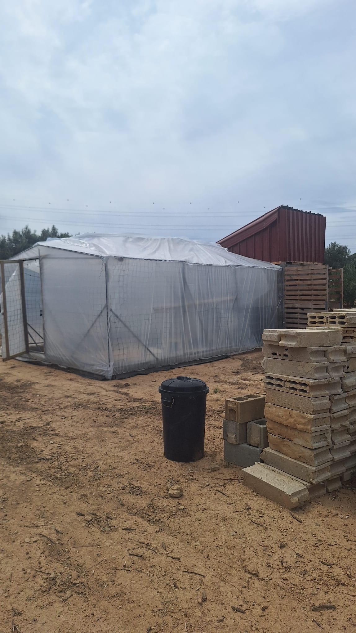 "Little Green" a second attempt at a high tech greenhouse